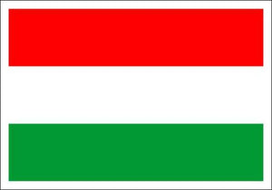 Magyar zászló 40x30cm