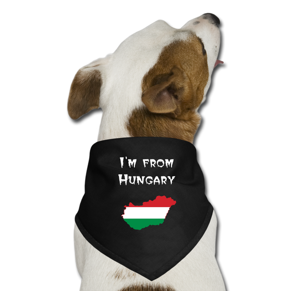 Dog Bandana - I'm from Hungary - svart
